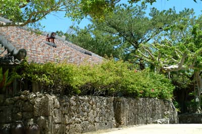 ¡Hasta un 25% de descuento! Entrada a Ryukyu Mura — 9