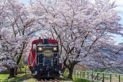 Sagano Romantic Train One-Way Ticket