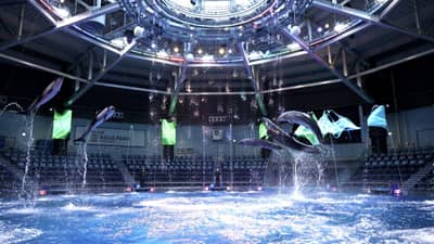 Maxell Aqua Park Shinagawa Aquarium Fast-Track Admission Ticket