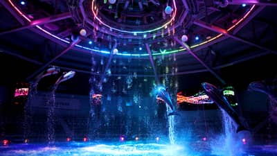Maxell Aqua Park 品川水族館 快速入館門票