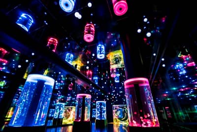 Maxell Aqua Park 品川水族館 快速入館門票 — 9