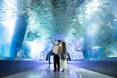 Maxell Aqua Park 品川水族館 快速入館門票 — 7