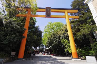 SEIBU KAWAGOE PASS — 3