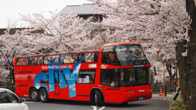 SKY HOP BUS KYOTO(Bus Wisata Hop-on Hop-off Kyoto)