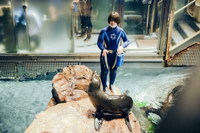墨田水族馆 入场券 — 7