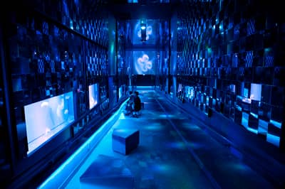 墨田水族馆 入场券 — 5