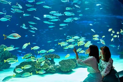サンシャイン水族館＋サンシャイン60展望台 てんぼうパーク入場チケット — 5