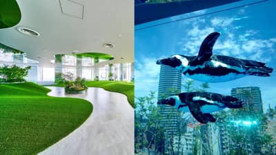 Combo Ticket - Sunshine Aquarium + Sunshine 60 Observatory Tenbou Park [Save up to JPY 300!]